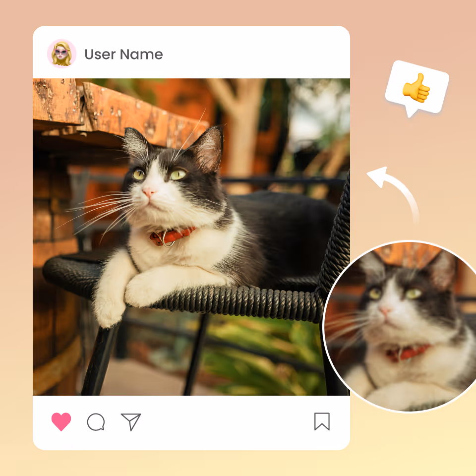 PhotoCat AI Image Enhancer