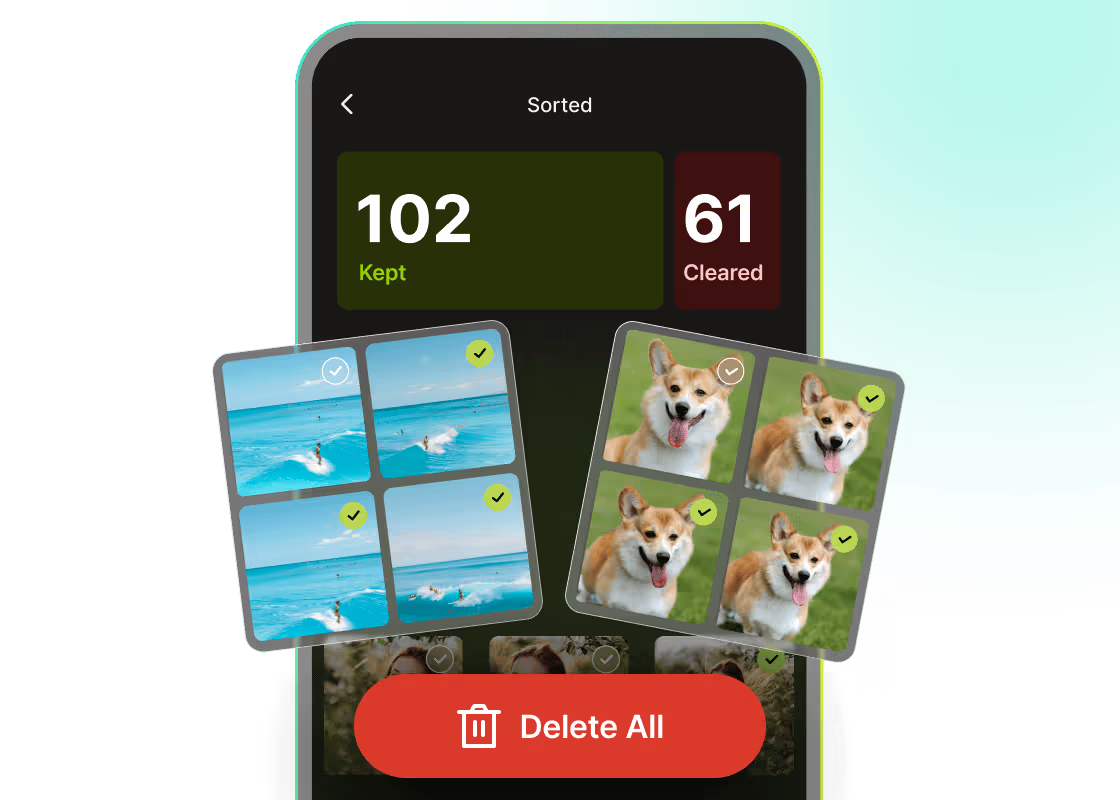 PhotoCat Photo Organizer