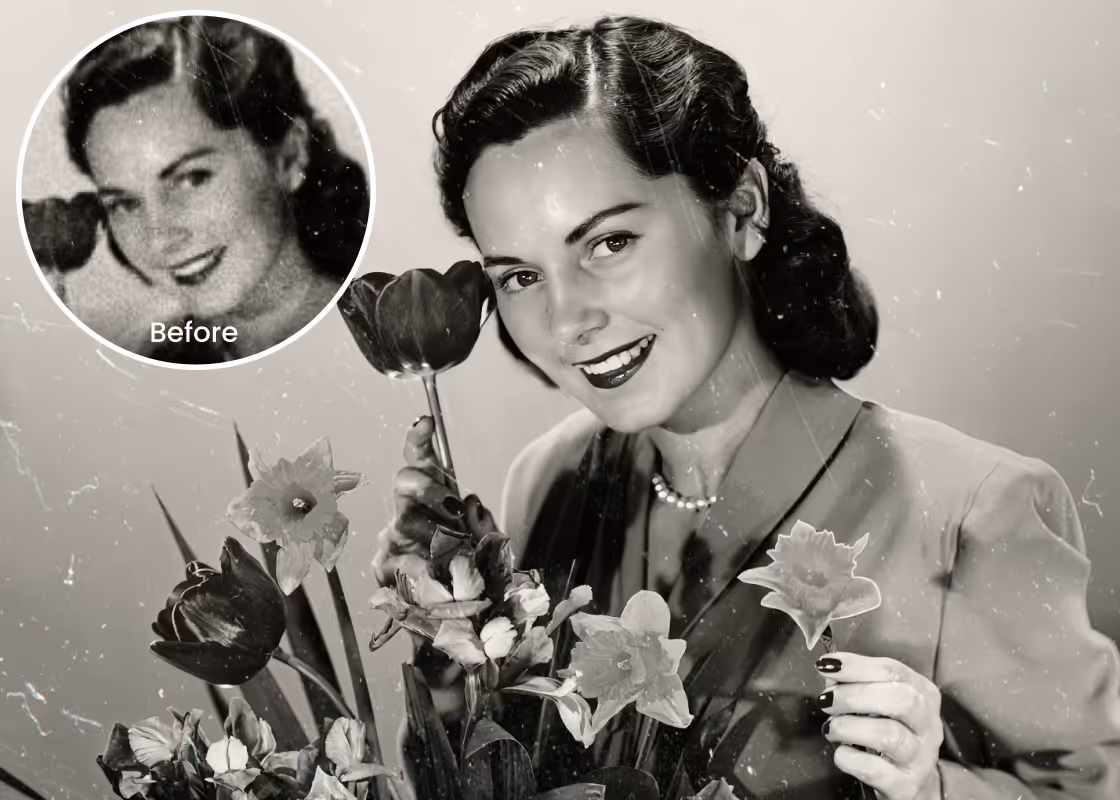 PhotoCat Old Photo Restoration